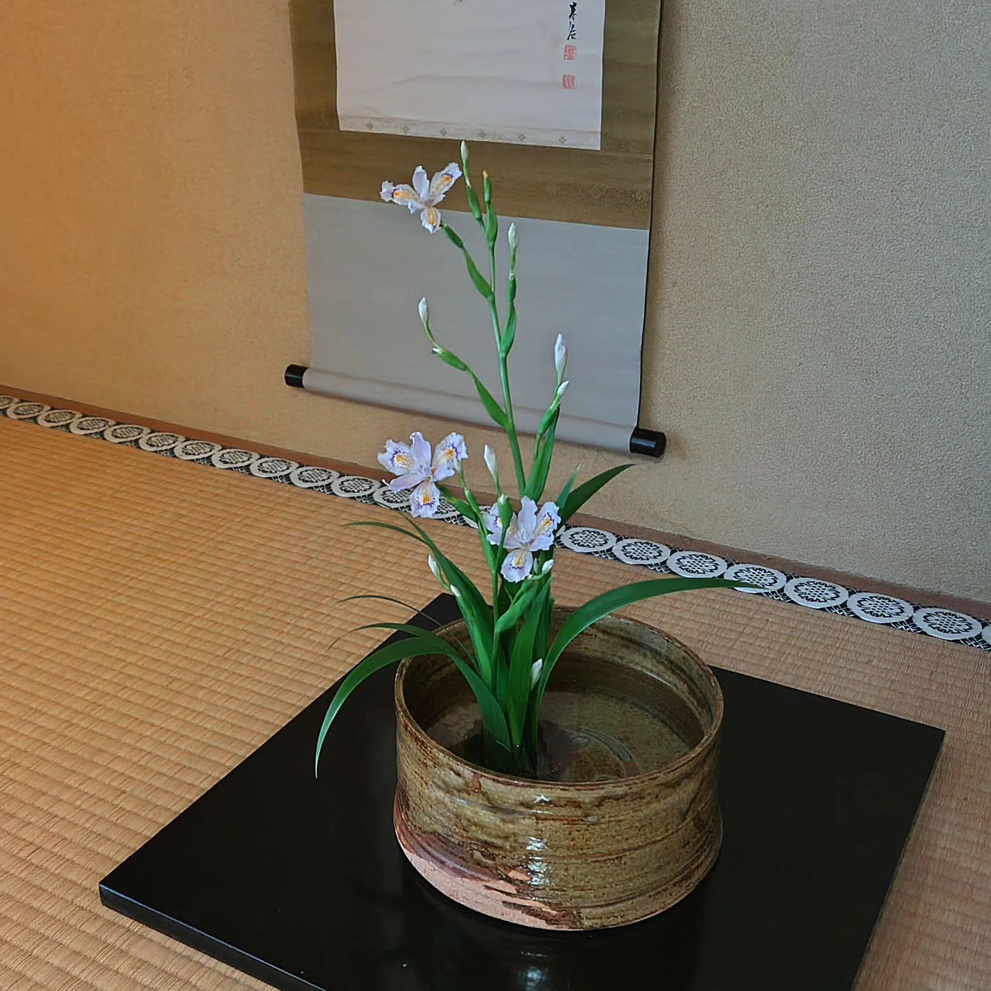 本日のお茶のお稽古にて、お花はシャガの花でした。  ちなみに、私（ダンディマスター）が昔修行したお店の名前（BAR SHAGA）はこの花から取ったそうです。オチが無くてスイマセン（笑）  
