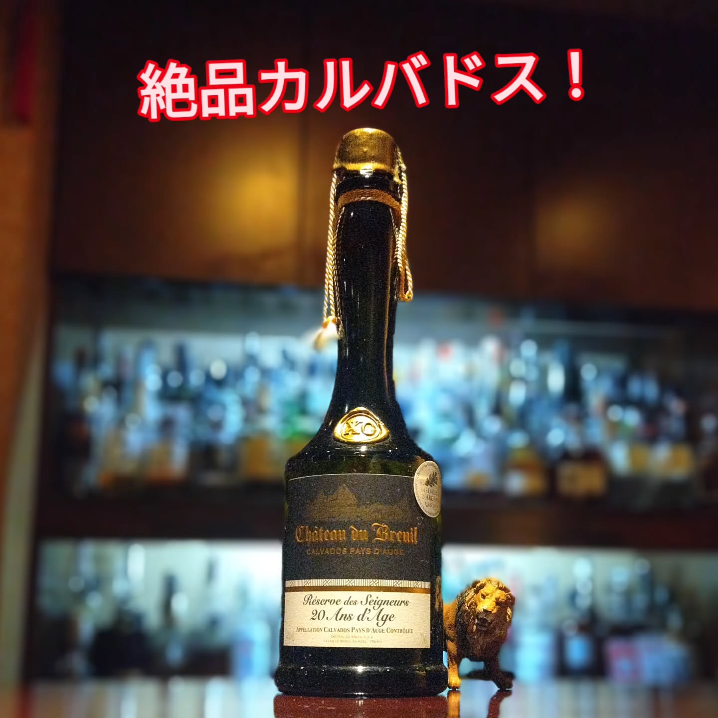 シャトー・ド・ブルイユX.O.　20年セニュラス